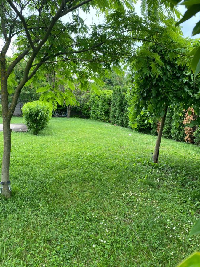 Lavender Cottage บาลาตองโยรอค ภายนอก รูปภาพ